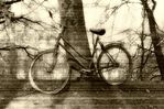 Fahrrad [1354 views]