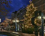 Ludwigshafen/Weihnachtsbeleuchtung2 [1427 views]