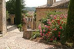 Frankreich/Languedoc Roussillon/La Roque-sur-Ceze/2006 [1363 views]