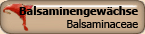 Balsaminaceae
