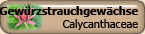 Calycanthaceae