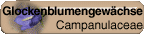 Campanulaceae