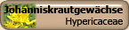 Hypericaceae