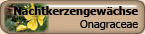 Onagraceae
