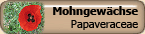 Papaveraceae