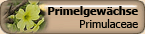 Primulaceae