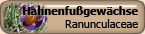 Ranunculaceae